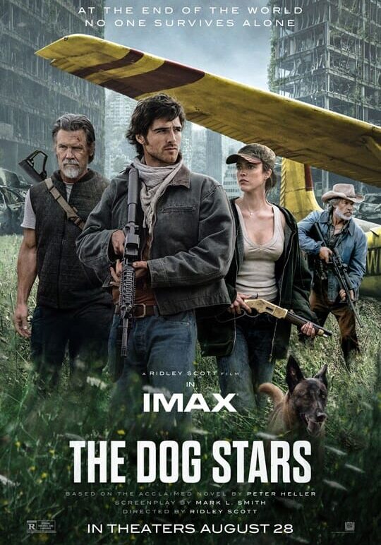 dog stars